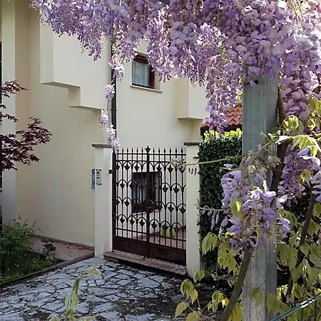Piccole Dolomiti فندق مبيت وإفطار بيلونو